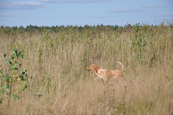 DSC_0100_01